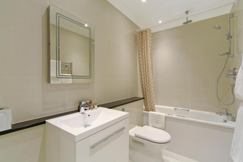 One-Bedroom Apartment image 4