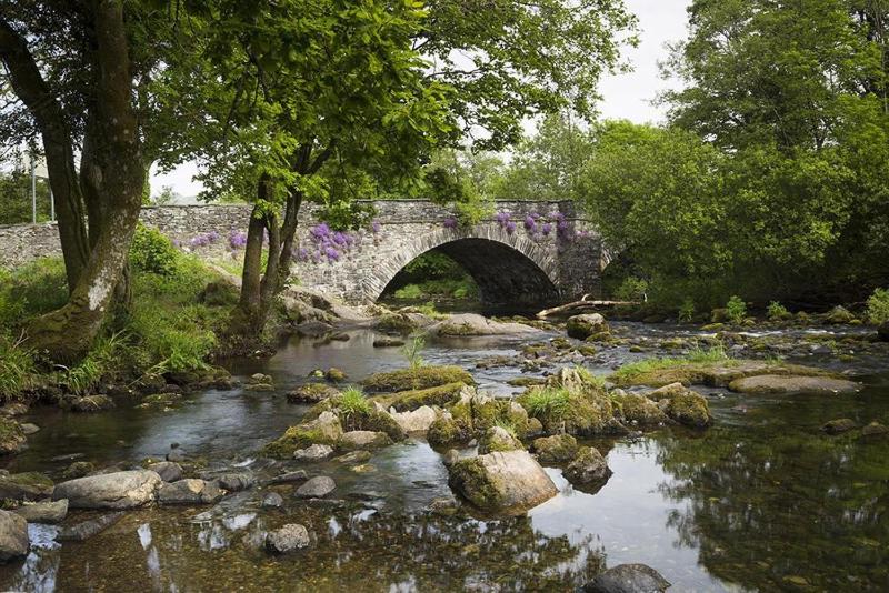 Rosewood by the River - image 19