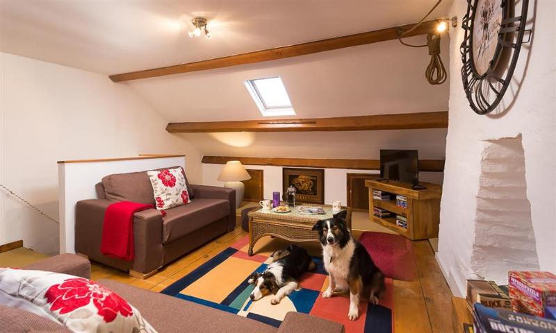 The Cats Bield - image 8