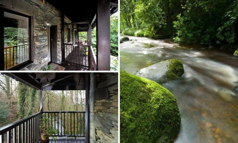 River Falls View - image 10