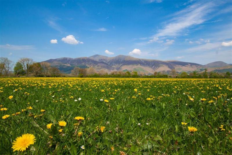 Grisedale Cottage - image 14