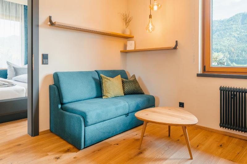Large One-Bedroom Apartment image 4