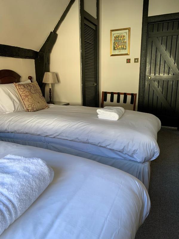 Standard Twin Room image 4
