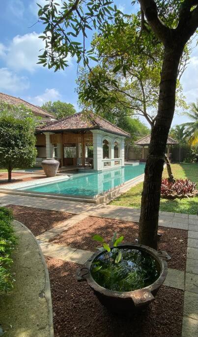 Bayagima - Luxury Villa - image 13