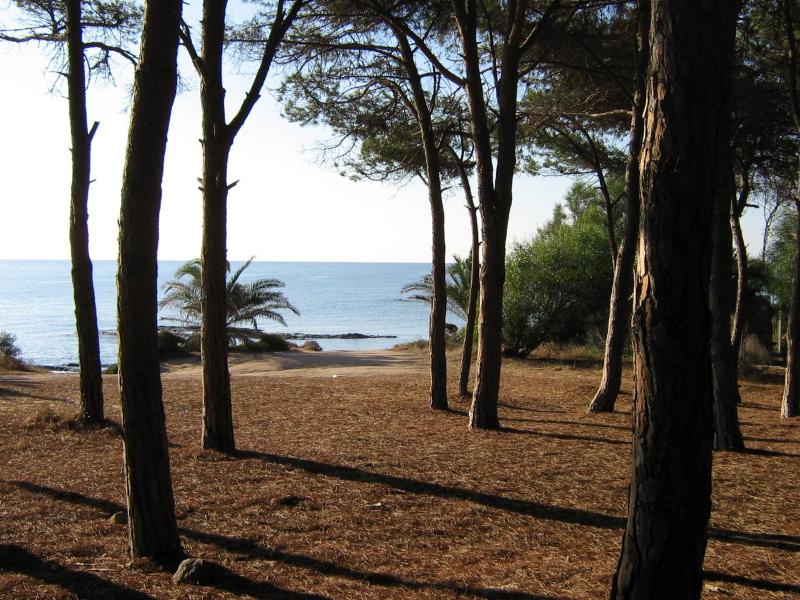 Two-Bedroom Apartment with Sea View image 3