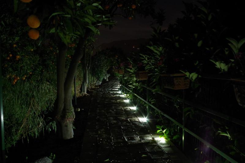 B&B Villa Valentina - image 44