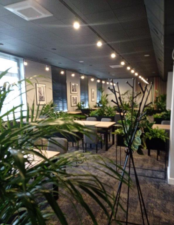 Hotel IOR - image 31
