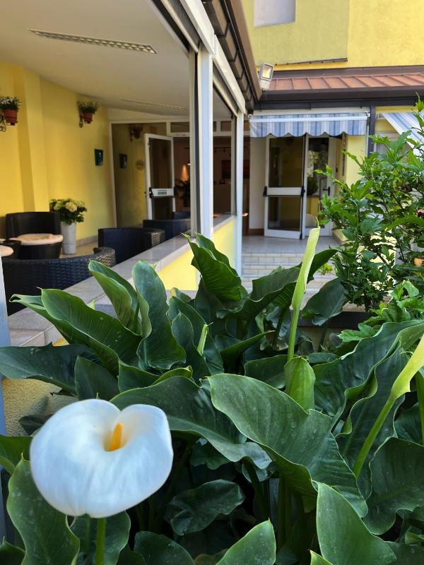 Hotel Ai Pini - image 48