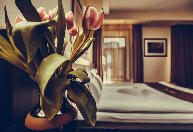 Premium Suite image 2