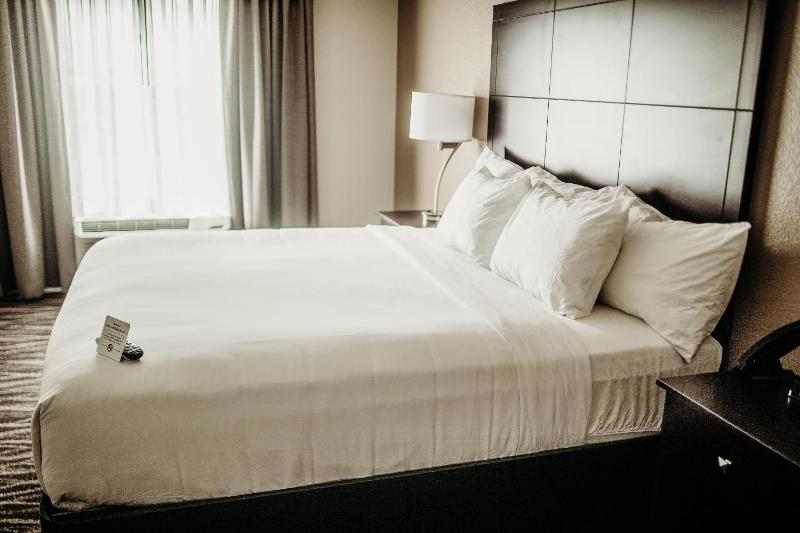 King Room with Roll-In Shower - Disability Access image 4