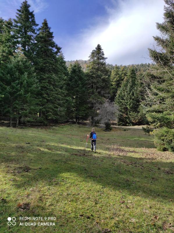 180 mountain lodge - image 14