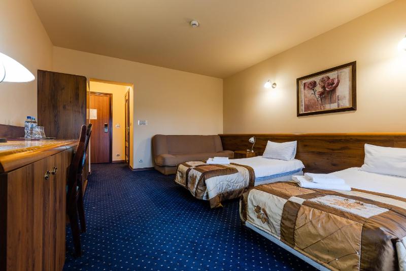 Standard Twin Room image 3
