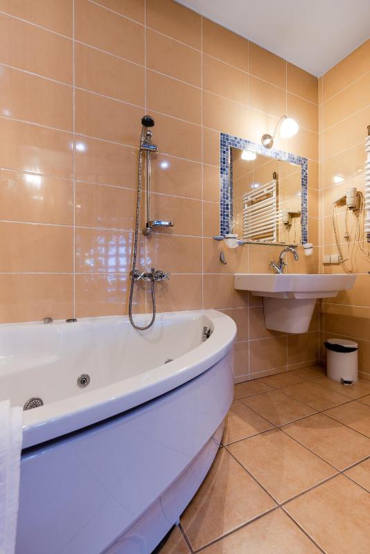 Deluxe Double Room image 4
