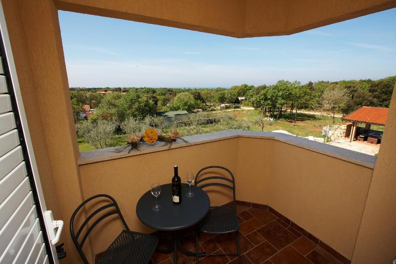 Guesthouse ''Barboska'' - big outdoor swimming pool & private tennis court - image 24
