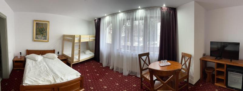 Standard Family Room image 1