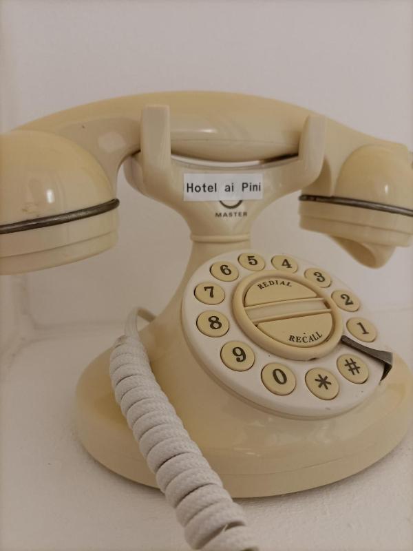 Hotel Ai Pini - image 37