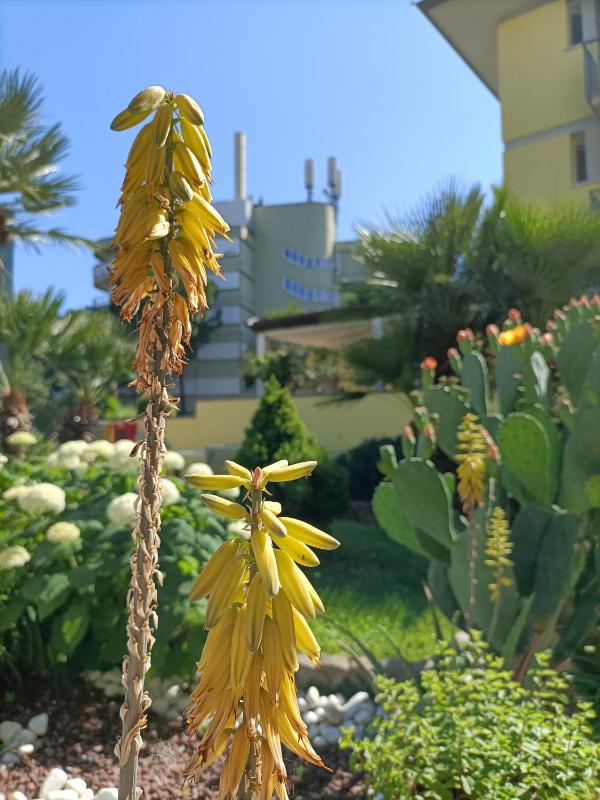 Hotel Ai Pini - image 47