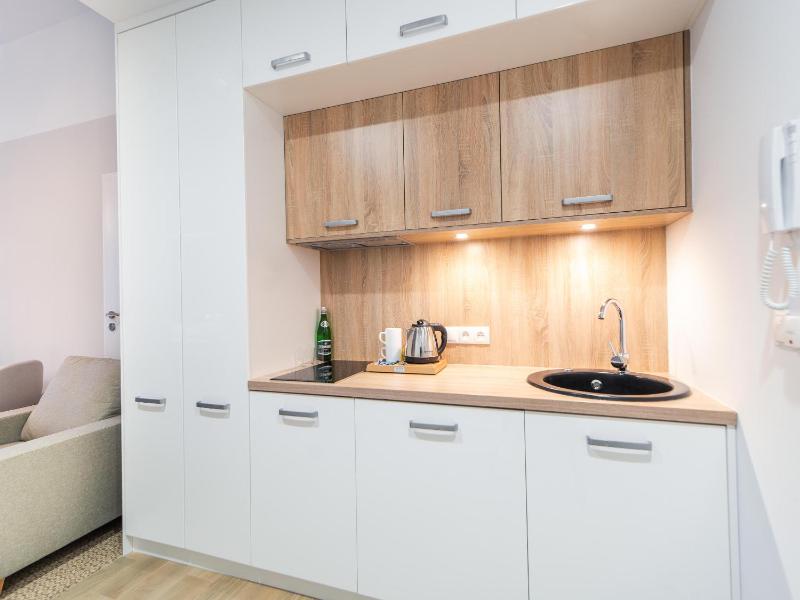 One-Bedroom Apartment image 4