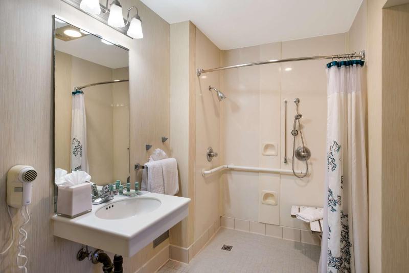 King Suite - Disability Access image 2