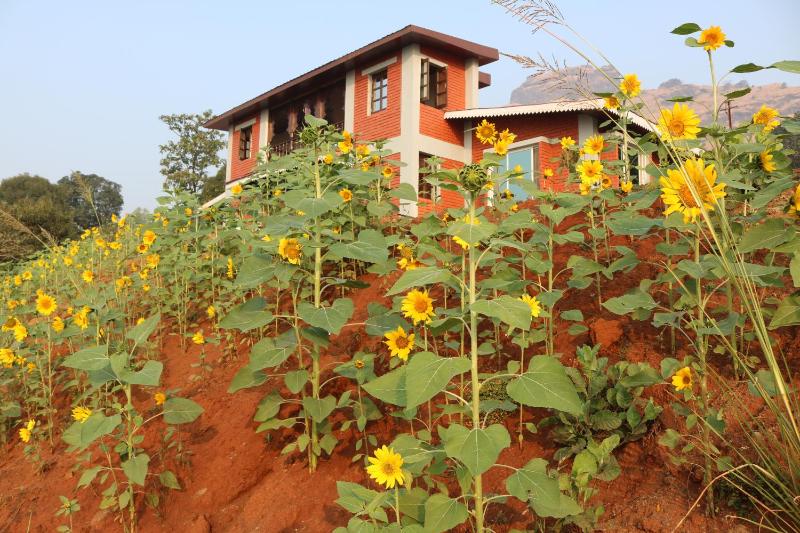 Shinde's Tikona Valley Farm - image 14