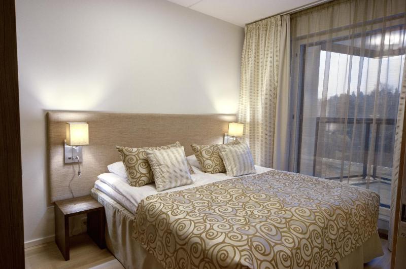 Two-Bedroom Superior Apartment with Sauna image 3