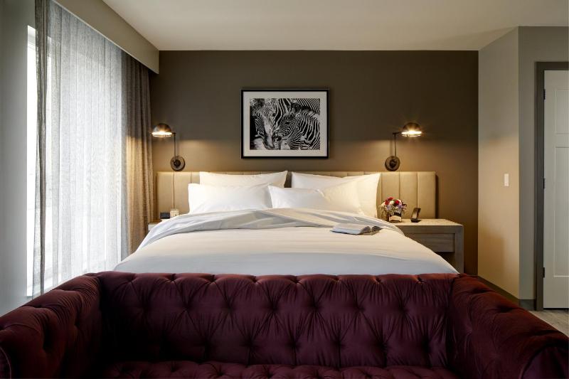 Deluxe King Studio Suite image 4
