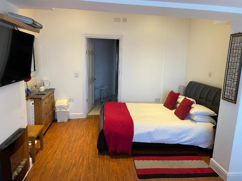 Deluxe Double Room image 3