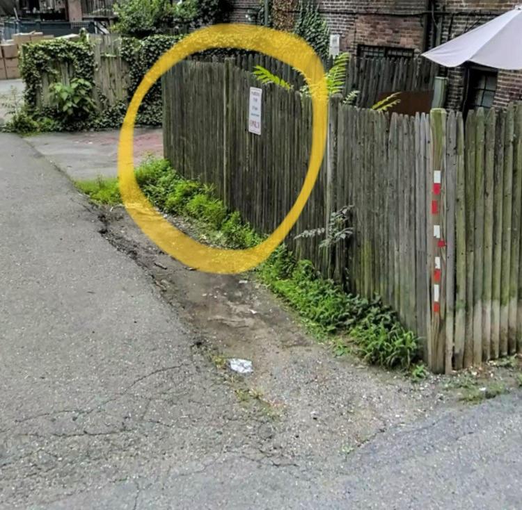 Parking - Private Entrance - King Beds - image 7