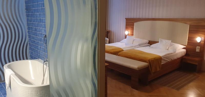 Deluxe Suite image 1