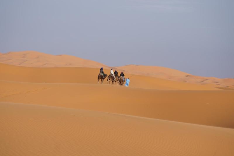 Sahara camel tours camp - image 16