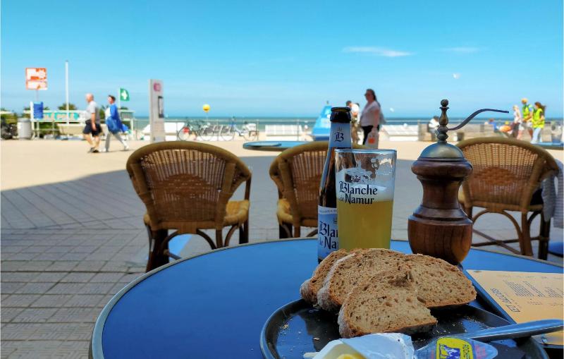 Awesome Apartment In Oostende With Wifi - image 9