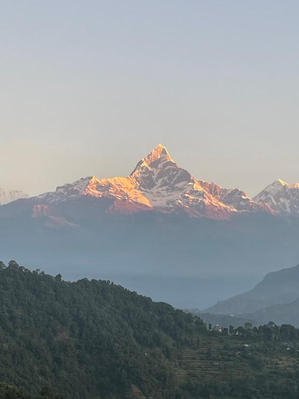 Hotel Pokharaeye - image 9