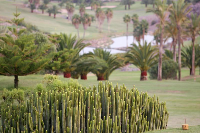 Vista Golf 30 by VillaGranCanaria - image 8