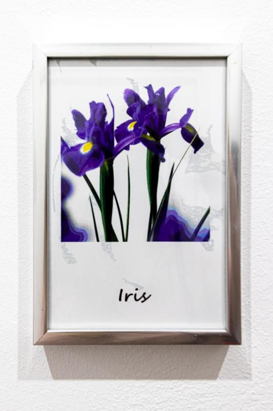 Single Room image 1