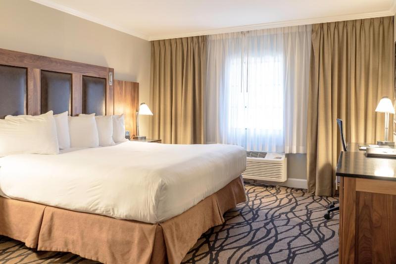 King Room image 1