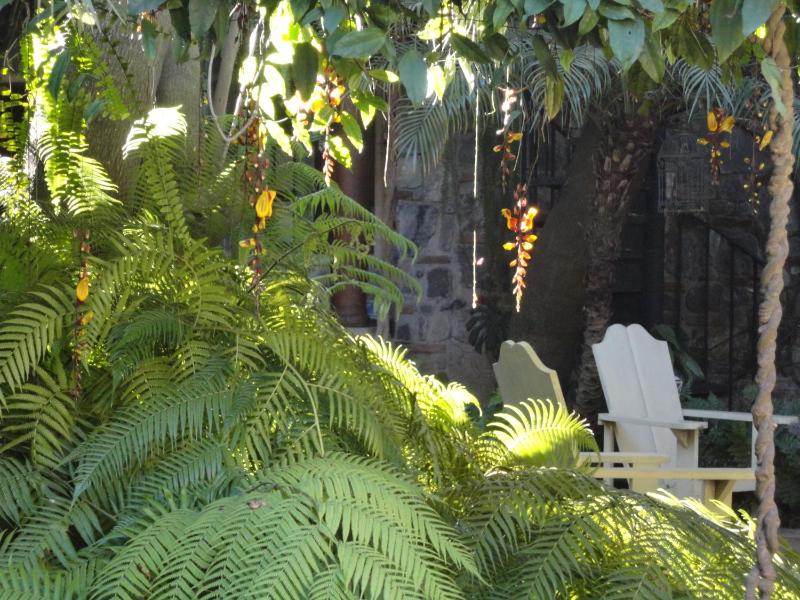 Cissus Hotel Boutique - image 5