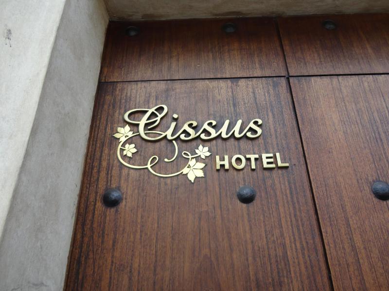 Cissus Hotel Boutique - image 10