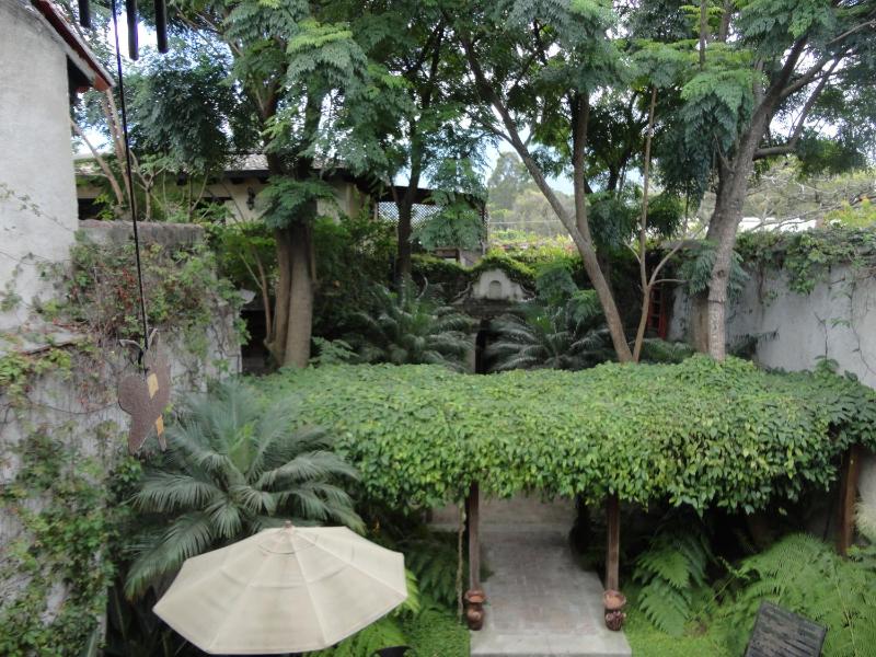 Cissus Hotel Boutique - image 7