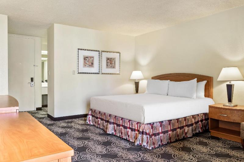 Deluxe King Room image 4