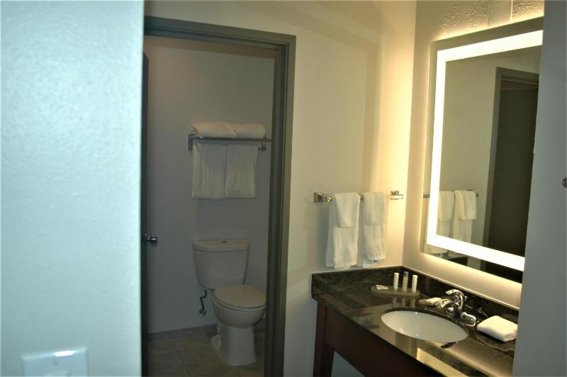 1 King Bed, Suite, City/Courtyard View, Non-Smoking image 4