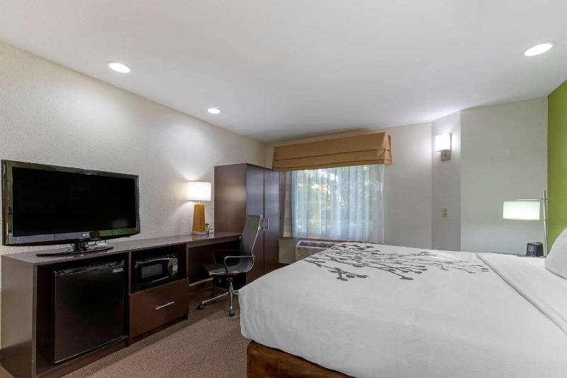 King Room - Non-Smoking image 3