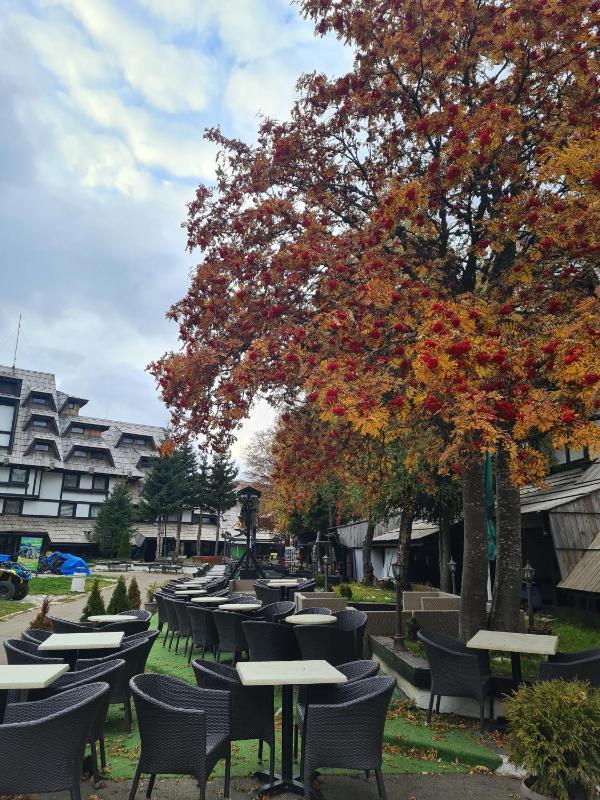 Apartman Pahulja - Milmari - image 6