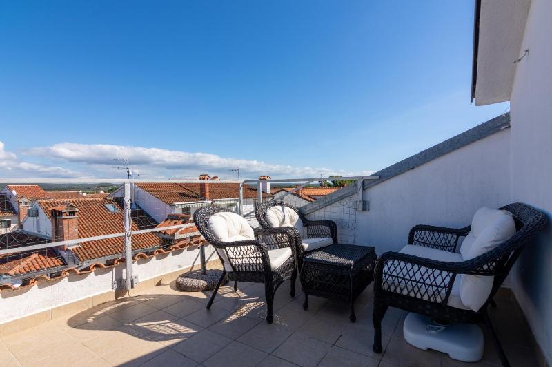 One-Bedroom Apartment with Terrace image 4