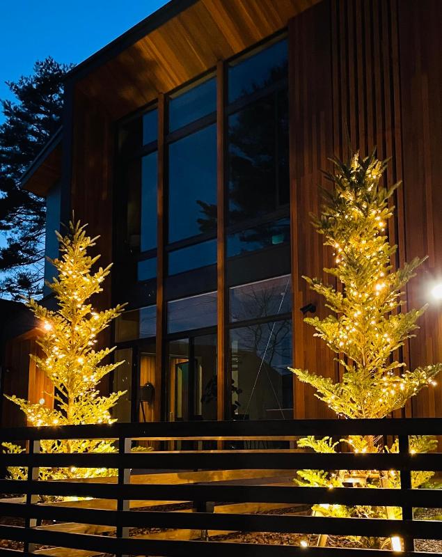 Ren chalet - image 26