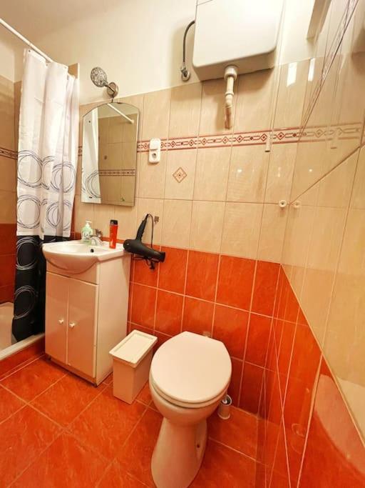 Budget Flat in the Center - image 2