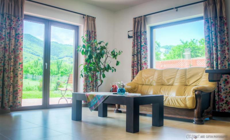 Deluxe Villa image 3