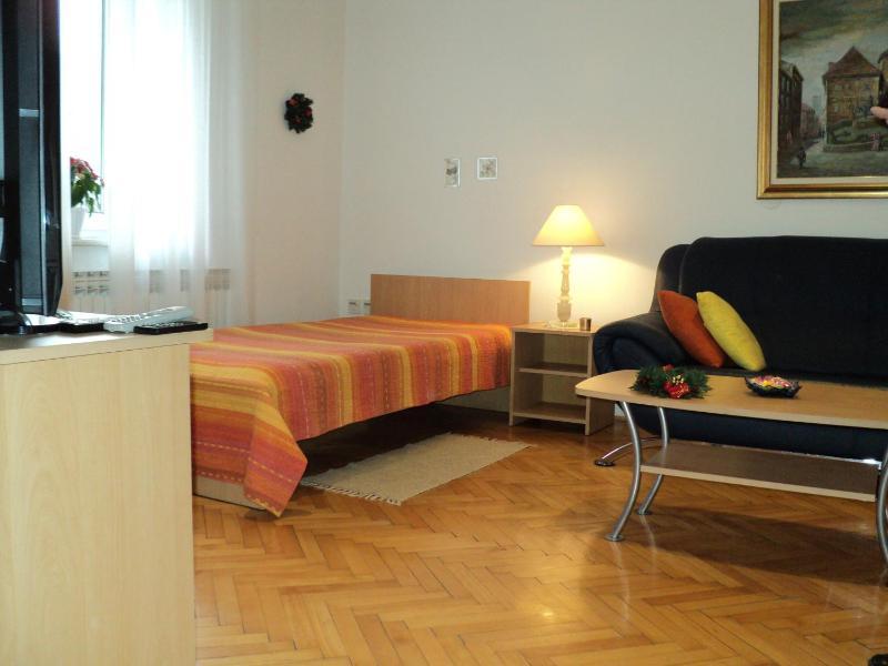 Apartment Horvat - image 16