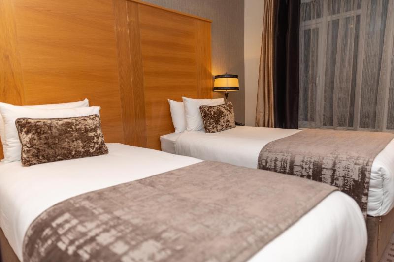 Deluxe Twin Room image 3