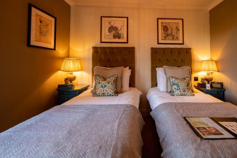 Superior Twin Room image 2