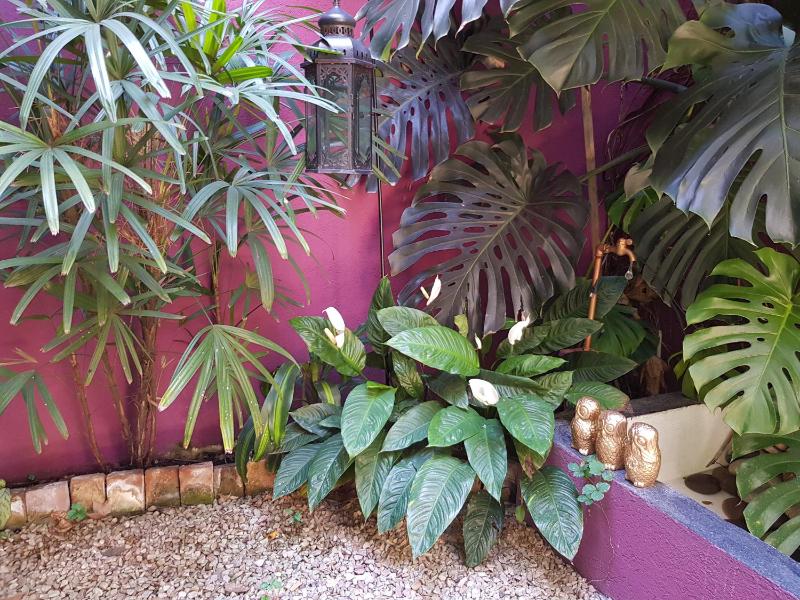 InspireBA - Garden - image 15